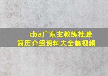 cba广东主教练杜峰简历介绍资料大全集视频