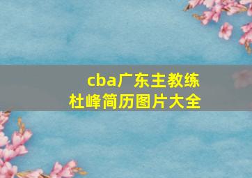 cba广东主教练杜峰简历图片大全