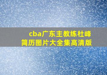 cba广东主教练杜峰简历图片大全集高清版