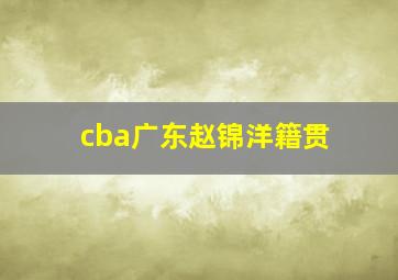 cba广东赵锦洋籍贯