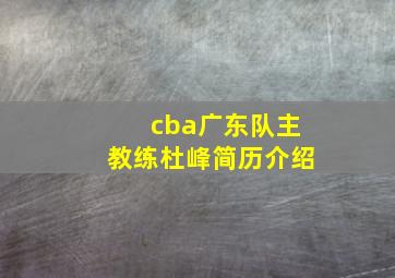 cba广东队主教练杜峰简历介绍