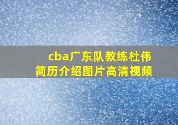 cba广东队教练杜伟简历介绍图片高清视频