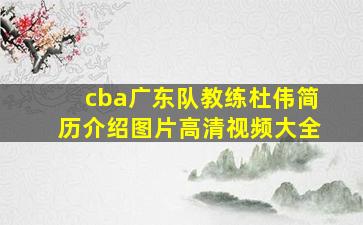 cba广东队教练杜伟简历介绍图片高清视频大全