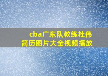 cba广东队教练杜伟简历图片大全视频播放