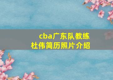 cba广东队教练杜伟简历照片介绍