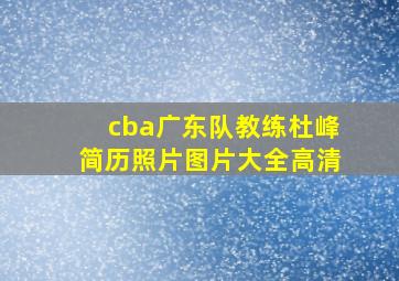 cba广东队教练杜峰简历照片图片大全高清