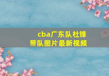 cba广东队杜锋带队图片最新视频