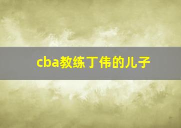 cba教练丁伟的儿子