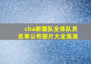 cba新疆队全体队员名单公布图片大全高清