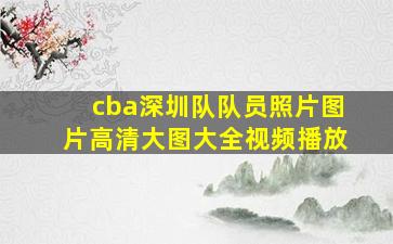 cba深圳队队员照片图片高清大图大全视频播放