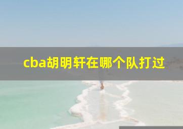 cba胡明轩在哪个队打过