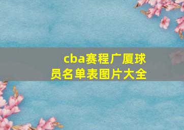 cba赛程广厦球员名单表图片大全