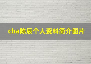 cba陈辰个人资料简介图片