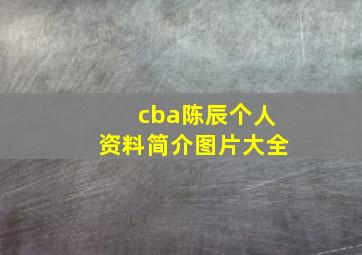 cba陈辰个人资料简介图片大全