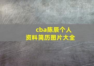 cba陈辰个人资料简历图片大全