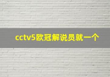 cctv5欧冠解说员就一个