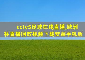 cctv5足球在线直播,欧洲杯直播回放视频下载安装手机版