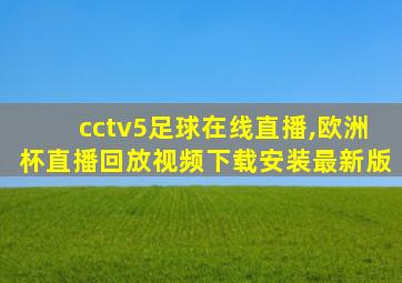 cctv5足球在线直播,欧洲杯直播回放视频下载安装最新版