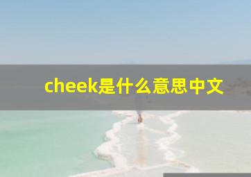 cheek是什么意思中文