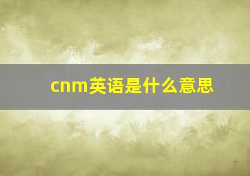 cnm英语是什么意思