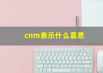 cnm表示什么意思