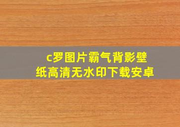 c罗图片霸气背影壁纸高清无水印下载安卓