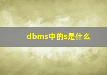 dbms中的s是什么