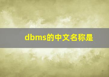 dbms的中文名称是