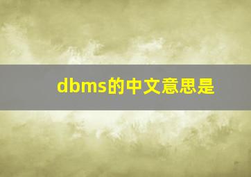 dbms的中文意思是