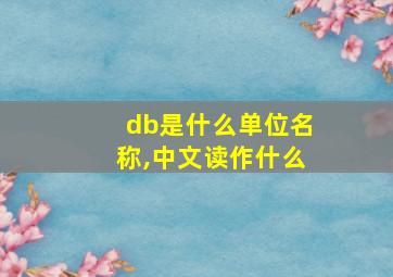 db是什么单位名称,中文读作什么