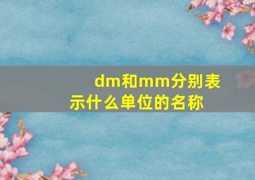 dm和mm分别表示什么单位的名称