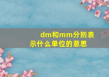 dm和mm分别表示什么单位的意思