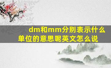 dm和mm分别表示什么单位的意思呢英文怎么说