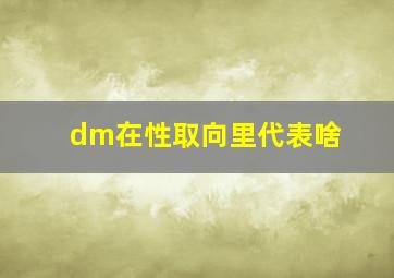 dm在性取向里代表啥