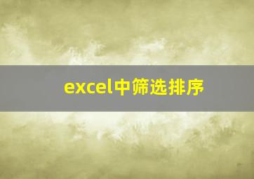 excel中筛选排序