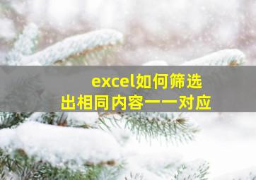 excel如何筛选出相同内容一一对应