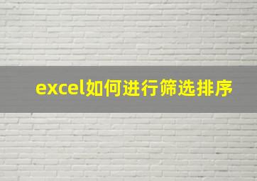 excel如何进行筛选排序