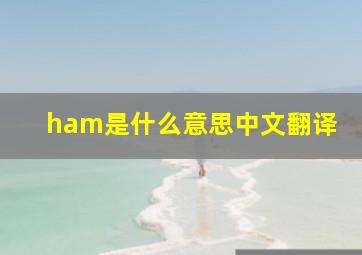 ham是什么意思中文翻译