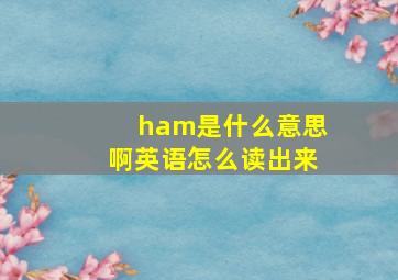 ham是什么意思啊英语怎么读出来