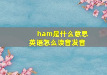 ham是什么意思英语怎么读音发音