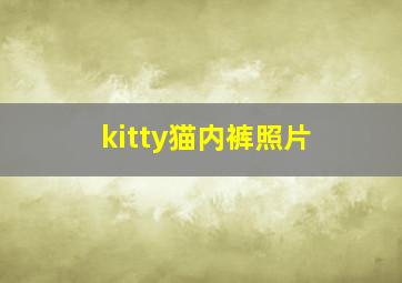 kitty猫内裤照片