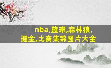 nba,篮球,森林狼,掘金,比赛集锦图片大全