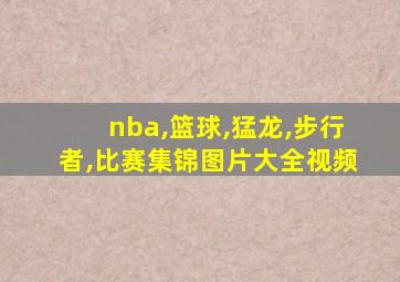 nba,篮球,猛龙,步行者,比赛集锦图片大全视频