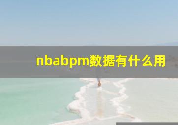 nbabpm数据有什么用