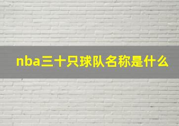 nba三十只球队名称是什么