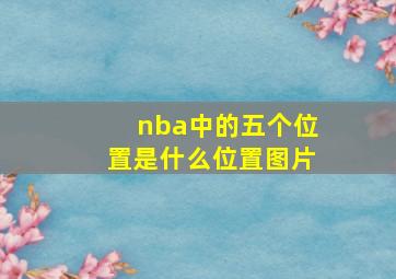 nba中的五个位置是什么位置图片