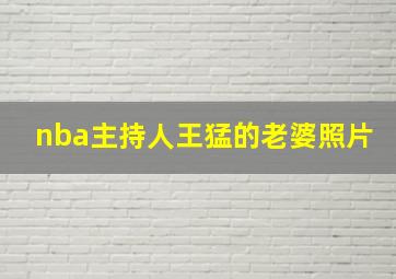 nba主持人王猛的老婆照片