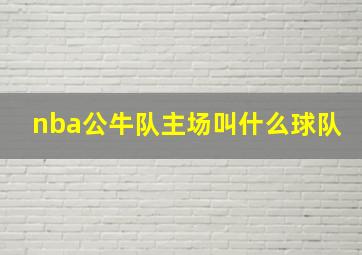 nba公牛队主场叫什么球队