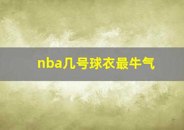 nba几号球衣最牛气