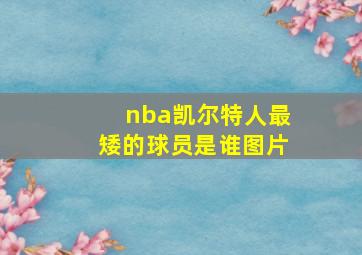 nba凯尔特人最矮的球员是谁图片